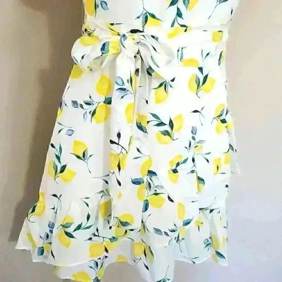 Banana Republic Frill Fit And Flare Lemon Print Dress - Picture 5 of 11